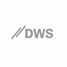 DWS-350px
