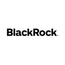 partner__blackrock